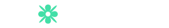 Frame 1000003409